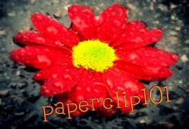 <3 Paperclip101
